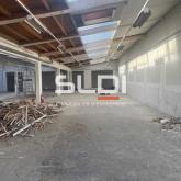 Activités A LOUER - VILLEURBANNE - 800 m²