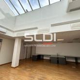 Bureaux A LOUER - NEUVILLE SUR SAONE - 477 m²