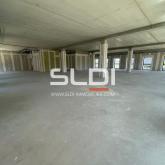 Commerces A VENDRE OU A LOUER - GENAS - 1 478 m² Commerces A VENDRE OU A LOUER - GENAS - 1 478 m²
