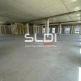 Commerces A VENDRE OU A LOUER - GENAS - 1 478 m²