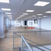 Locaux d'activités A VENDRE OU A LOUER - DECINES CHARPIEU - 4 887 m²