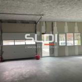 Bureaux A VENDRE - LISSIEU - 287 m²