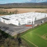 Activités A VENDRE OU A LOUER - PONT D'AIN - 8 430 m²