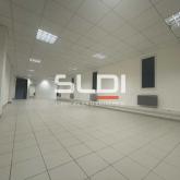 Bureaux A LOUER - CHAPONOST - 130 m²