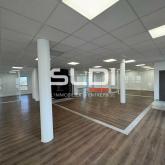 Bureaux A LOUER - DARDILLY - 368 m²