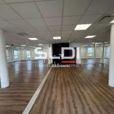 Bureaux A LOUER - DARDILLY - 368 m²