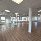 Bureaux A LOUER - DARDILLY - 248 m²