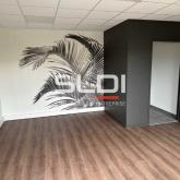 Activités A VENDRE - BOURGOIN JALLIEU - 178 m²