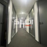 Bureaux A LOUER - LYON - 315 m²