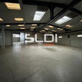 Locaux d'activités A VENDRE - JASSANS RIOTTIER - 4 185 m² Locaux d'activités A VENDRE - JASSANS RIOTTIER - 4 185 m²
