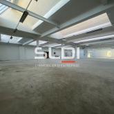 Locaux d'activités A VENDRE - VILLEURBANNE - 3 350 m² Locaux d'activités A VENDRE - VILLEURBANNE - 3 350 m²