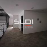 Locaux d'activités A LOUER - SAINT JEAN DE BOURNAY - 420 m² Locaux d'activités A LOUER - SAINT JEAN DE BOURNAY - 420 m²