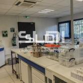 Locaux d'activités A LOUER - BRON - 334 m² Locaux d'activités A LOUER - BRON - 334 m²