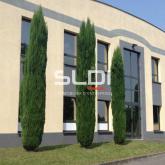 Locaux d'activités A LOUER - ARNAS - 3 304 m² Locaux d'activités A LOUER - ARNAS - 3 304 m²