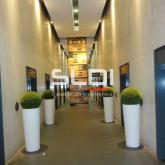 Bureaux A LOUER - LYON - 297 m² Bureaux A LOUER - LYON - 297 m²