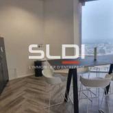 Bureaux A LOUER - LYON - 297 m² Bureaux A LOUER - LYON - 297 m²