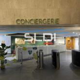 Bureaux A LOUER - LYON - 297 m² Bureaux A LOUER - LYON - 297 m²