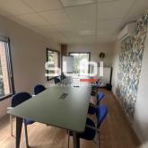 Bureaux A LOUER - ECULLY - 59 m² Bureaux A LOUER - ECULLY - 59 m²