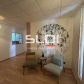 Bureaux A LOUER - ECULLY - 59 m² Bureaux A LOUER - ECULLY - 59 m²