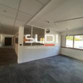 Bureaux A LOUER - ECULLY - 162 m² Bureaux A LOUER - ECULLY - 162 m²