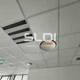 Bureaux A LOUER - LYON - 346 m² Bureaux A LOUER - LYON - 346 m²