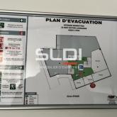 Bureaux A LOUER - LYON - 346 m² Bureaux A LOUER - LYON - 346 m²