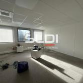 Bureaux A LOUER - DARDILLY - 345 m² Bureaux A LOUER - DARDILLY - 345 m²