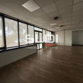 Bureaux A VENDRE OU A LOUER - SAINT DIDIER AU MONT D'OR - 500 m² Bureaux A VENDRE OU A LOUER - SAINT DIDIER AU MONT D'OR - 500 m²