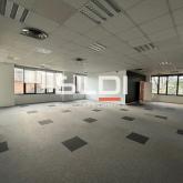 Bureaux A VENDRE OU A LOUER - SAINT DIDIER AU MONT D'OR - 500 m² Bureaux A VENDRE OU A LOUER - SAINT DIDIER AU MONT D'OR - 500 m²