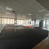 Bureaux A VENDRE OU A LOUER - SAINT DIDIER AU MONT D'OR - 500 m² Bureaux A VENDRE OU A LOUER - SAINT DIDIER AU MONT D'OR - 500 m²