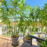 Appartement 74㎡ OULLINS Appartement 74㎡ OULLINS