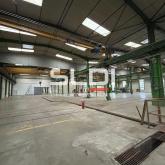 Locaux d'activités A VENDRE OU A LOUER - JASSANS RIOTTIER - 7 883 m²