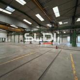 Locaux d'activités A VENDRE OU A LOUER - JASSANS RIOTTIER - 7 883 m²