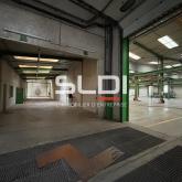 Locaux d'activités A VENDRE OU A LOUER - JASSANS RIOTTIER - 7 883 m²