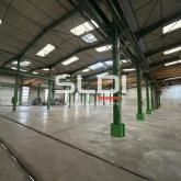 Locaux d'activités A VENDRE OU A LOUER - JASSANS RIOTTIER - 7 883 m²