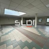 Locaux d'activités A VENDRE OU A LOUER - JASSANS RIOTTIER - 7 883 m²