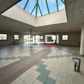 Locaux d'activités A VENDRE OU A LOUER - JASSANS RIOTTIER - 7 883 m²