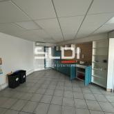 Locaux d'activités A VENDRE OU A LOUER - JASSANS RIOTTIER - 7 883 m²