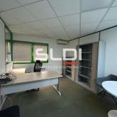 Locaux d'activités A VENDRE OU A LOUER - JASSANS RIOTTIER - 7 883 m²