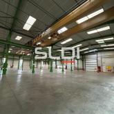 Locaux d'activités A VENDRE OU A LOUER - JASSANS RIOTTIER - 7 883 m²