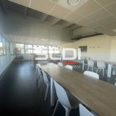 Locaux d'activités A LOUER - CHAMPAGNE AU MONT D'OR - 410 m²