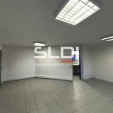 Locaux d'activités A LOUER - PUSIGNAN - 1 305 m²