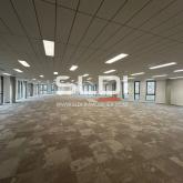 Bureaux A LOUER - LIMONEST - 9 157 m² Bureaux A LOUER - LIMONEST - 9 157 m²