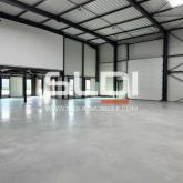 Locaux d'activités A LOUER - CHASSIEU - 630 m²
