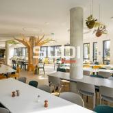 Bureaux A LOUER - LIMONEST - 633 m² Bureaux A LOUER - LIMONEST - 633 m²