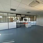 Locaux d'activités A LOUER - DARDILLY - 1 854 m² Locaux d'activités A LOUER - DARDILLY - 1 854 m²