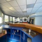 Bureaux A LOUER - ECULLY - 234 m² Bureaux A LOUER - ECULLY - 234 m²