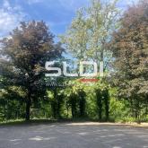 Bureaux A LOUER - ECULLY - 234 m² Bureaux A LOUER - ECULLY - 234 m²