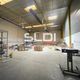 Locaux d'activités A LOUER - CHASSIEU - 350 m²