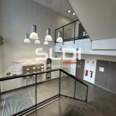 Bureaux A LOUER - LIMONEST - 243 m² Bureaux A LOUER - LIMONEST - 243 m²
